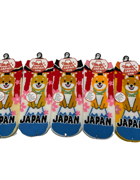 おもしろい先丸ソックス 柴犬と鳥居