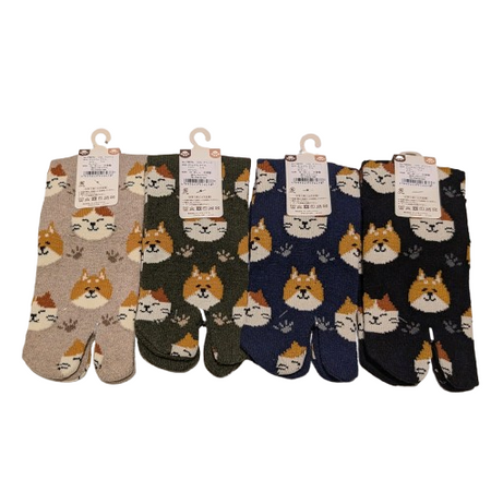 ウールソックス　柴犬　猫
