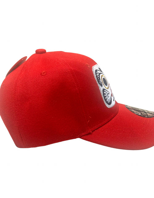 ギャラリービューアに画像を読み込む, Daruma CAP
