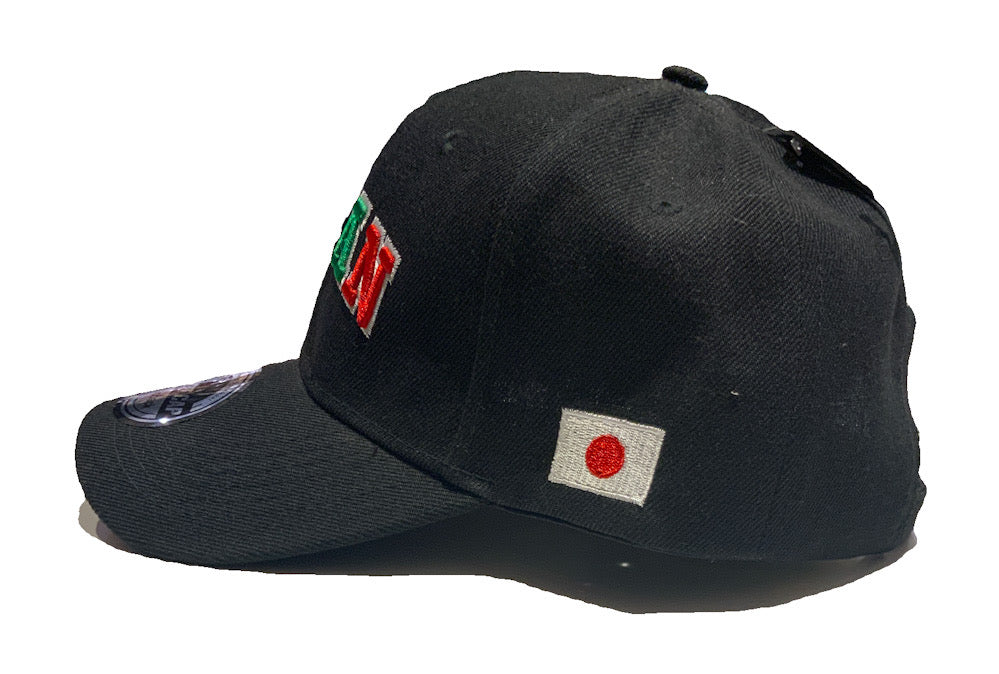 JAPAN Colorful Logo CAP