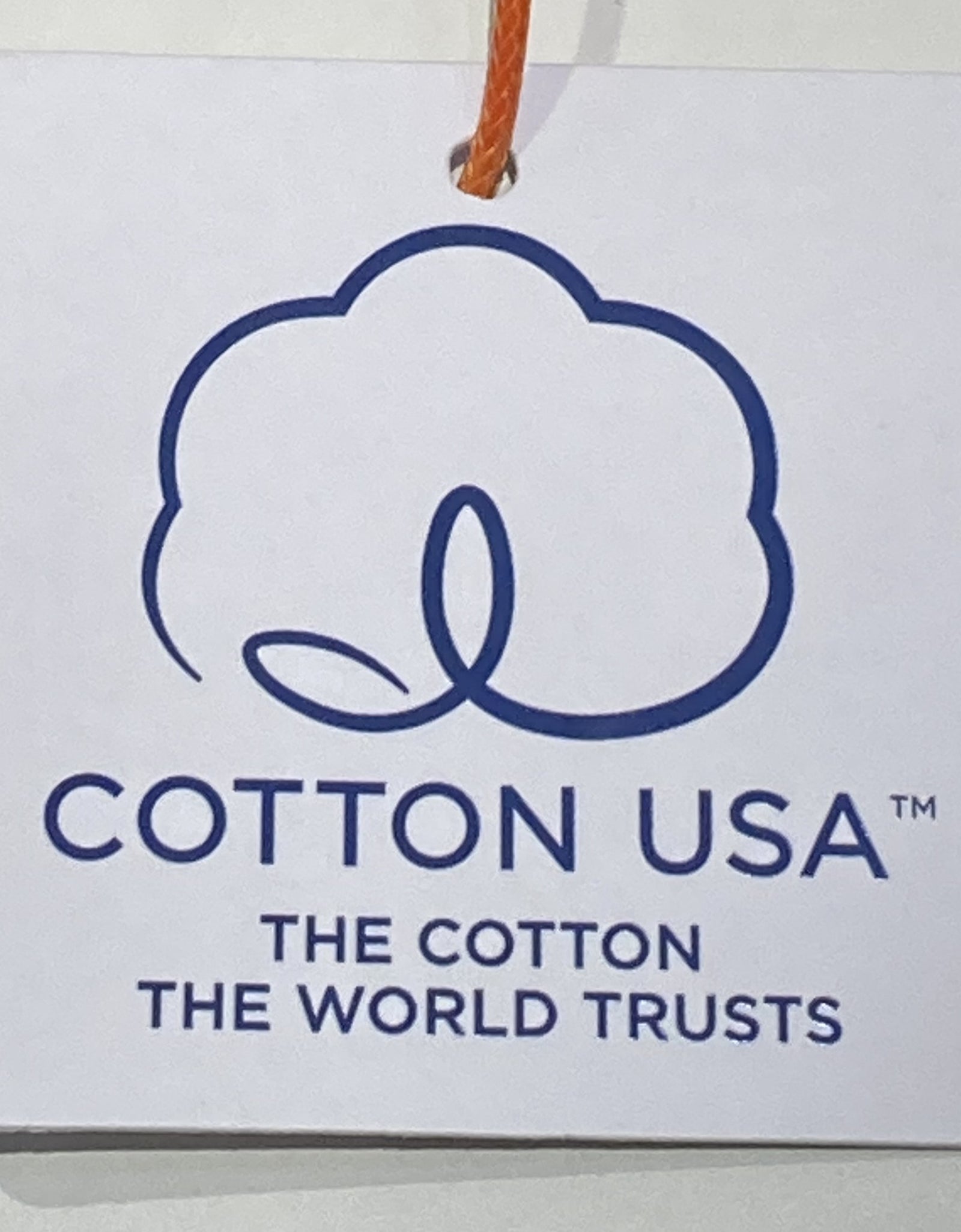 HYPER TYGER TSHIRTS WHALE tシャツ クジラ 波 和柄