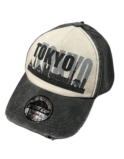 Load image into Gallery viewer, TOKYO print CAP
