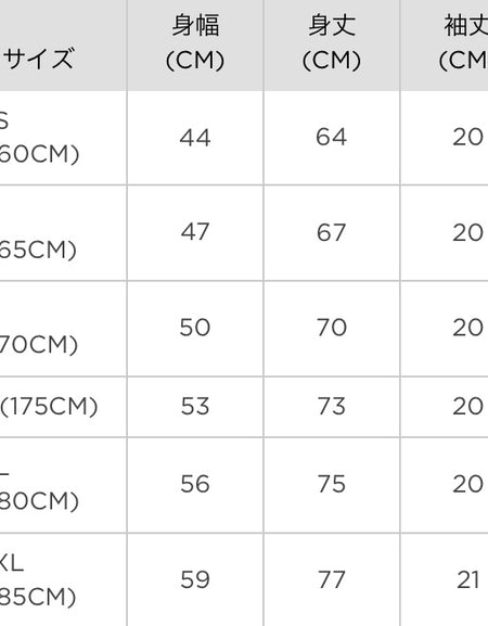 Tokyo City スーベニア Tシャツ